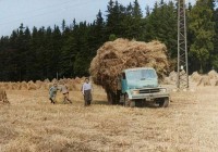 /album/sc/v-barve-jpg1/